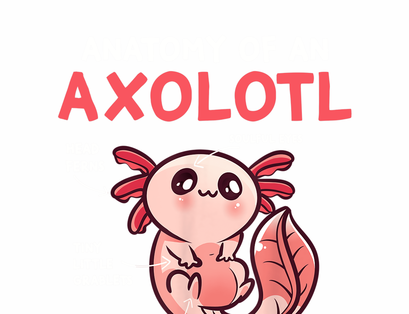 Anatomy Of An Axolotl Cute Axolotl Gift Axolotl Lover by Yen Hoang on ...