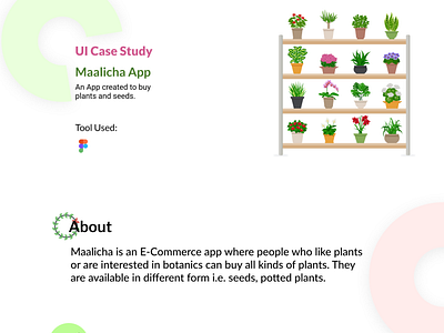 UI Case Study for Maalicha App