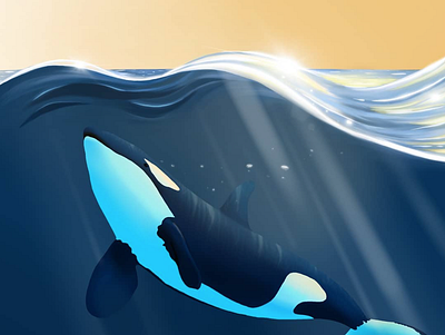 Orca digital illustration illustration