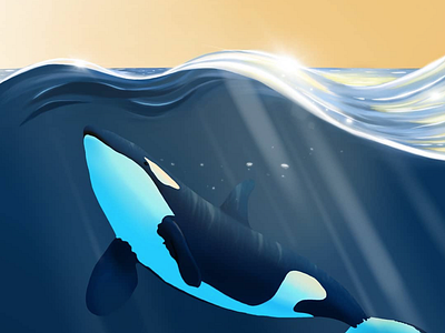 Orca digital illustration