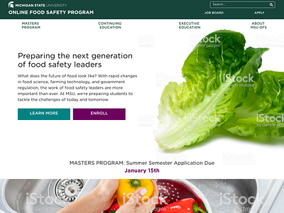 MSU Food Safety website design