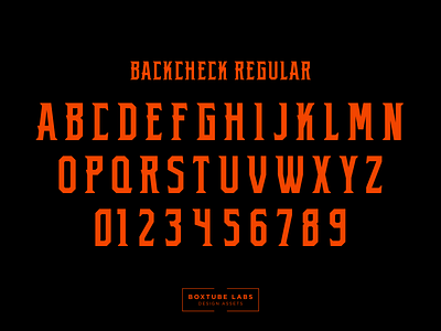 Backcheck Regular block type branding sport typography