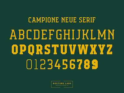 Campione Neue Serif block type branding sport typography variable