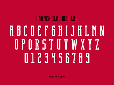 Dahmer Slab Regular block type branding sport typography