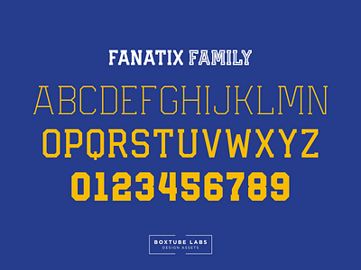 Fanatix Family block type branding sport typography