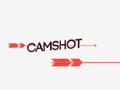 Identity for a company dealing with video surveillance camshot fantasy technology kazan