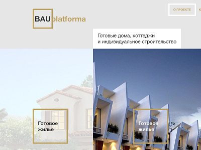 bau platforma