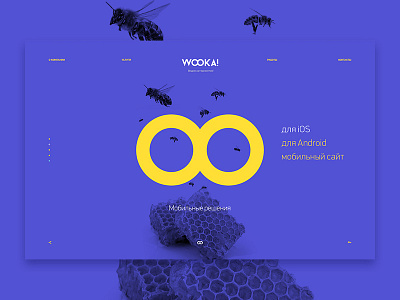 web-agency «wooka» agency design fntw freelance web webagency webdesign