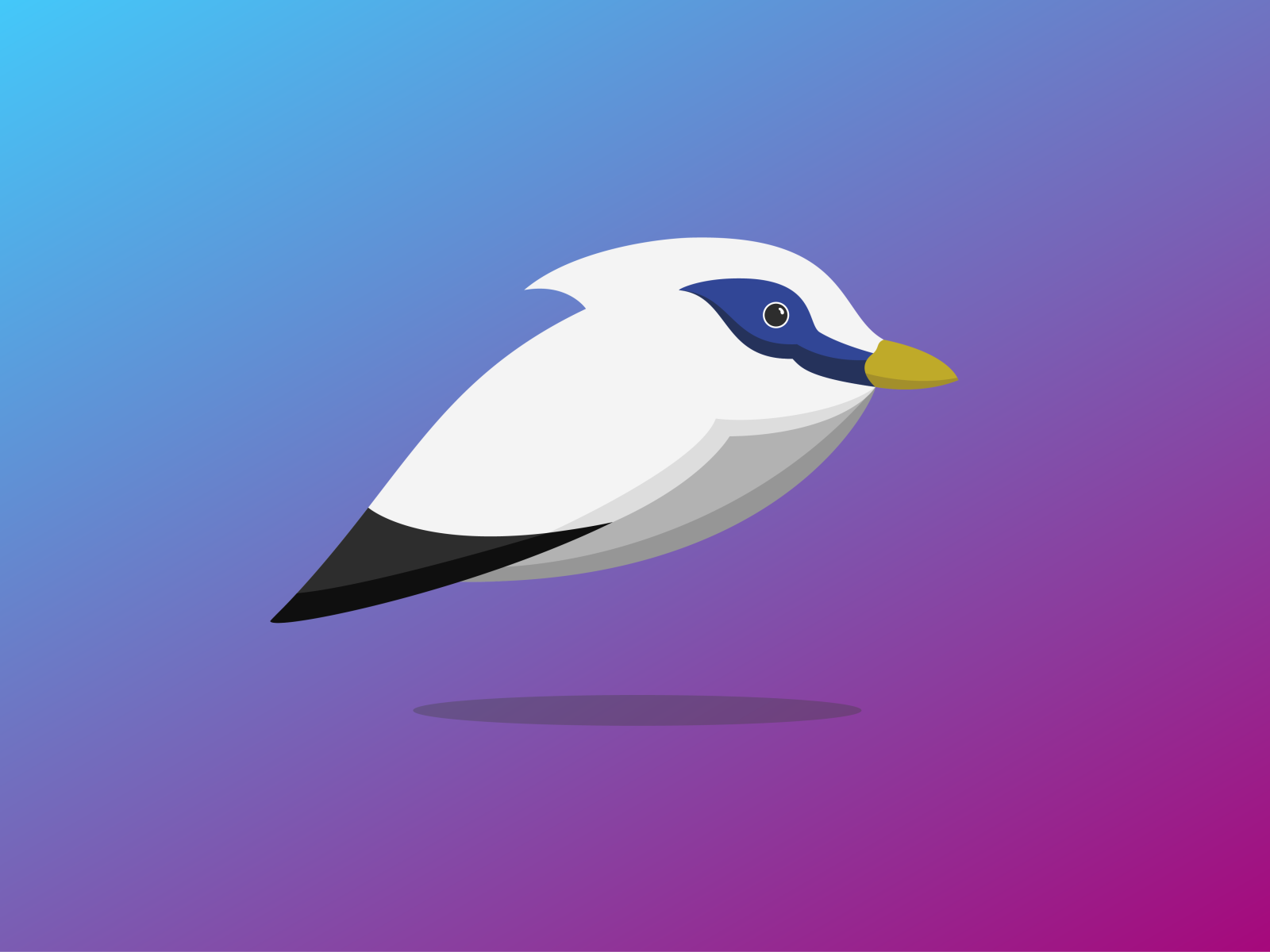 Jalak Bali (Bali Myna) - Logo & Illustration by 44 Creative on Dribbble
