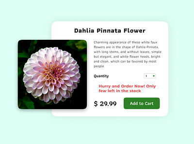 In Stock (Daily UI - 096) add cart dahlia dailyui dailyuichallenge design figma flower landing page pinnata plant stock ui