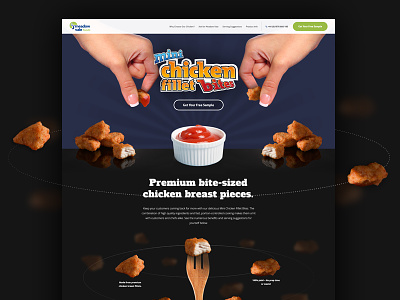 Meadow Vale campaign chicken fast food landing page orbit space web design