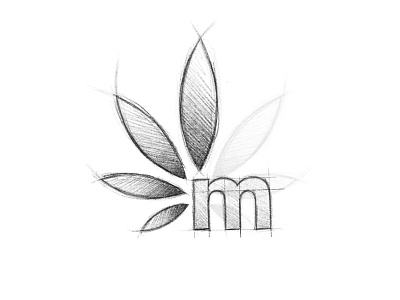 Maconha - Logo Design Sketch brand identity branding cannabis clean design leaf logo m minimal sketch