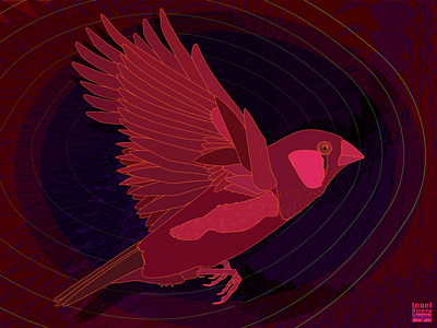 Magenta Zebra Finch adobe illustrator animal art animal design animal illustration bird illustration birds burgundy design figuros finches illustration art magenta design maroon design red design zebra finch zebra finches