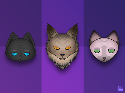 Warrior Cat Icons 
