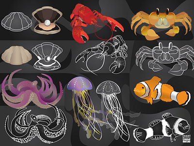 Illustrated Sea Creatures 2d 3d animals art clean design graphic graphic design icon illustration illustrator vector