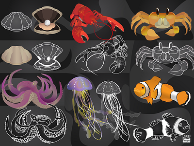 Illustrated Sea Creatures