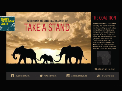 Take a stand ad app campaign elephants save animals ui ux web design