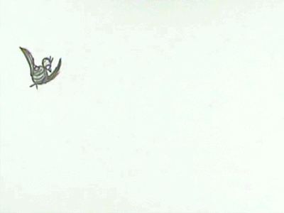 Bird Bounce animation bird illustration