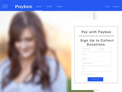 Paybee ui web design