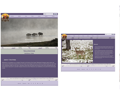 Redesign for Yellowstone Webpage