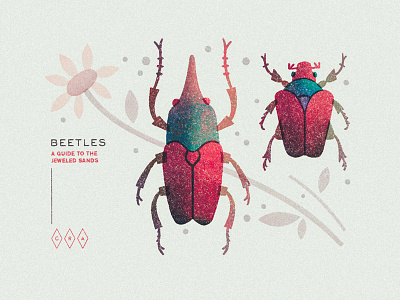 Beetles