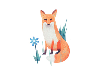 Fox design fox graphic illustration print texture