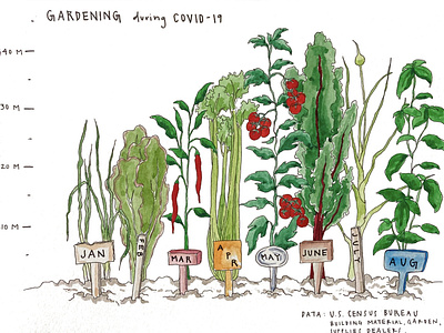 Data Visual: Gardening during COVID-19