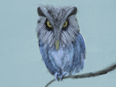 The Magnificent Owl Julian illustration owl painting procreate