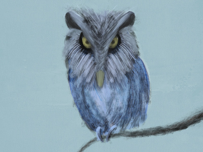 The Magnificent Owl Julian illustration owl painting procreate