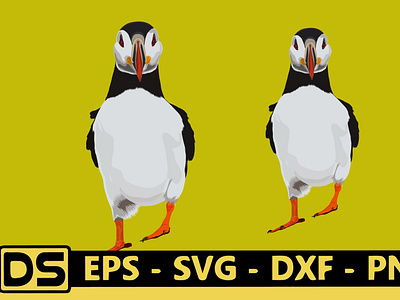 cute puffin vector