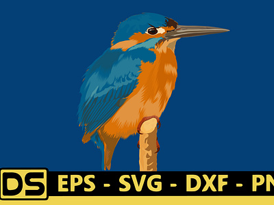 blue kingfisher illustration