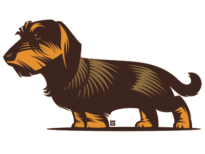 Illustration dog animal dachshund dog illustration printing screen t shirt typography vector