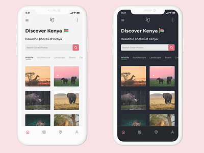 Discover Kenya Homepage Light & Dark Mode Designs africa architecture dark mode discover kenya flutter home homepage kenya mobile nairobi photo photography pictures search travel wildlife