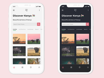 Discover Kenya Homepage
Light & Dark Mode Designs