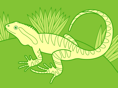 Australian Water Dragon animal australian environmental green illustration vector water dragon