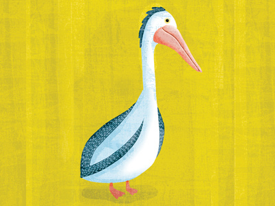 Pelican