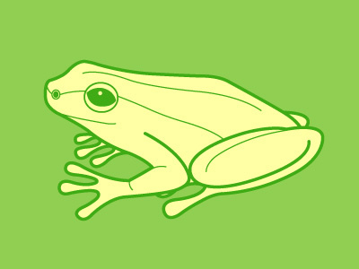 Tree Frog