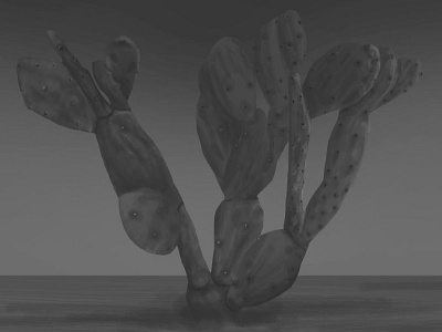 3D Nopal with next-gen filters. 3d nopal