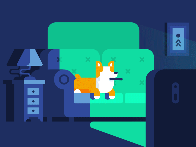 What's on? 2d animation characters corgi dog flat illustration motion graphic tv