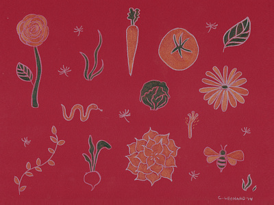 A Lovely Garden garden pattern vegetables will draw for good