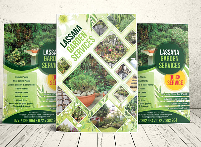 LASSANA GARDEN BROUCHERS brochure design illustration logodesign