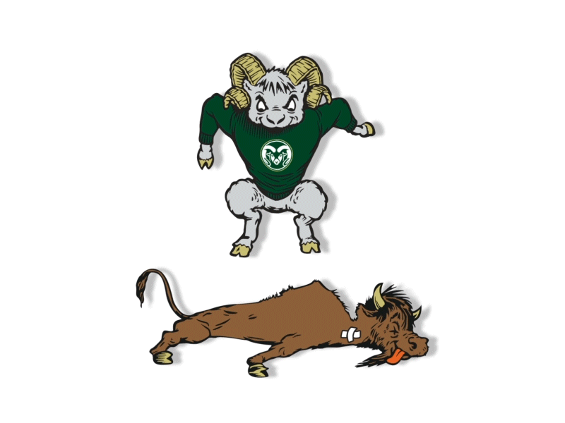 CSU vs CU animation buffalo cartoon colorado csu gif illustration ram