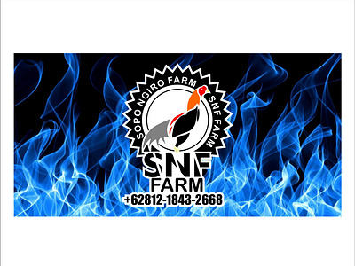 snf farm logo