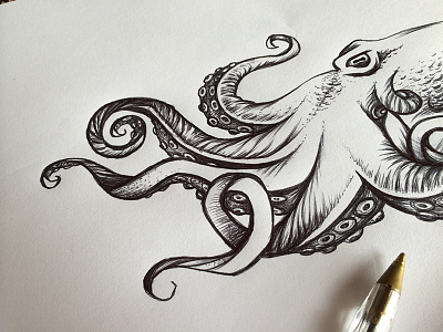 Mean octo tat biro illustration octopus octopus illustration sketch squid tattoo