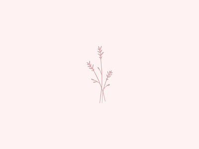 Brand illustration branding clean cute floral icon illustration minimal simple sketch