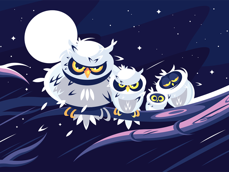 Owls sitting on branch character night darkness moon branch sitting owl kit8 flat vector illustration
