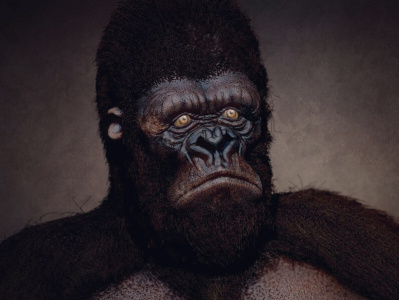Gorilla 3d creature gorilla sculpting zbrush