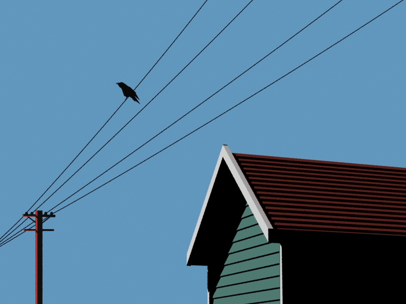 Crow angle animation city colors crow gif house illustration sky solid view
