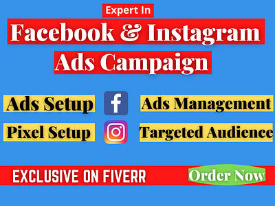 I will do facebook ads campaign, fb advertising, fb ads manager,