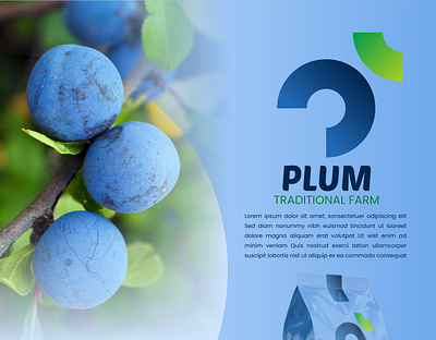 PLUM LOGO - TRADITIONAL FARM brand brand identity branding design graphic design logo logo design logofolio logotype minimalist modern professional simple vector